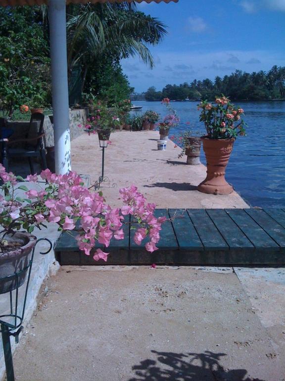 Ganga Garden Hotel Beruwala Luaran gambar